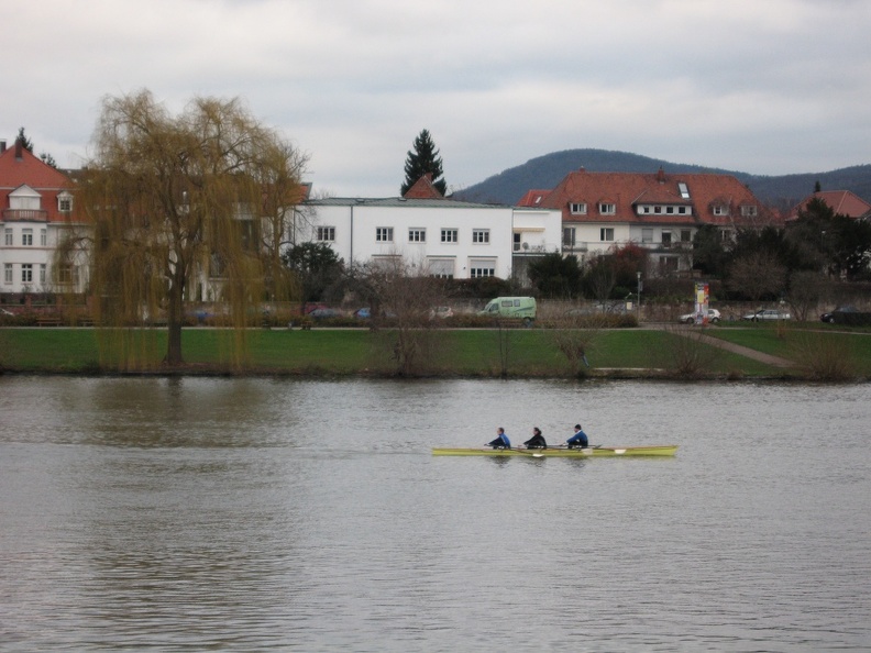 Rowing on the Neckar